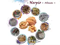 feria nueces nerpio