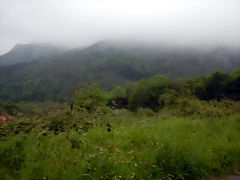 DSCN0203 DSCN0203