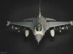 f 16 5 firm