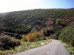 DSCN0061 DSCN0061