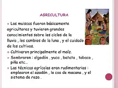 AGRICULTURA CHIBCHA