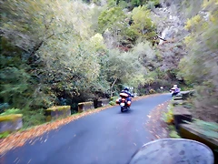 DSCN1087 DSCN1087