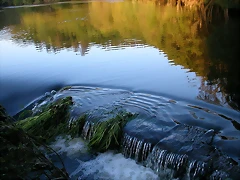 DSCN1213