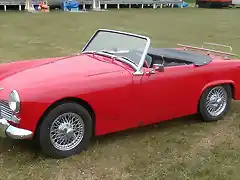 Austin Healey Cabuees'09