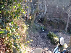 DSCN3005 DSCN3005