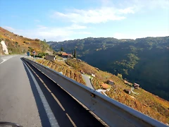 DSCN9781
