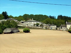 DSCN2328 DSCN2328