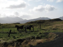 IMG_0973 IMG_0973