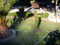 DSCN4240 DSCN4240