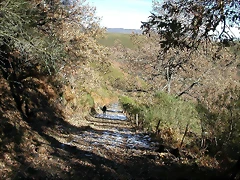 DSCN6823 DSCN6823