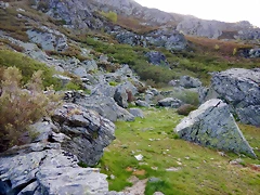 DSCN9487 DSCN9487