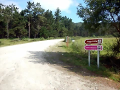 DSCN5729 DSCN5729