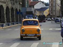 CAS_3911 CAS_3911