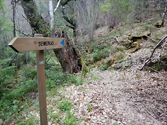 DSCN0740 DSCN0740