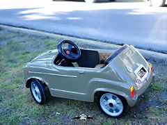 CAS_3855 CAS_3855