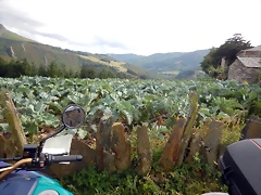 DSCN4394 DSCN4394
