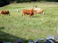 DSCN4408 DSCN4408