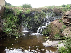IMG_0291 IMG_0291