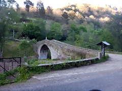 DSCN0208 DSCN0208