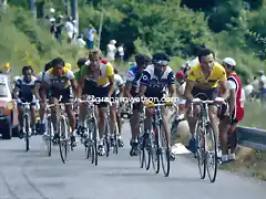 Perico-Tour1985-Hinault-Pino-LeMond-Van Impe-Rodriguez Magro