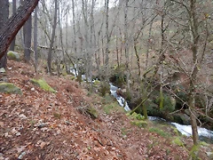 DSCN0131 DSCN0131