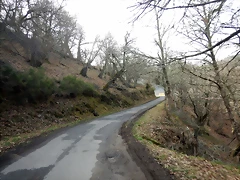 DSCN4766 DSCN4766