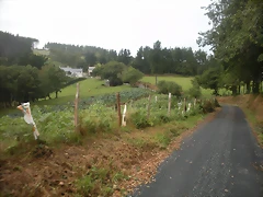 DSCN8354 DSCN8354