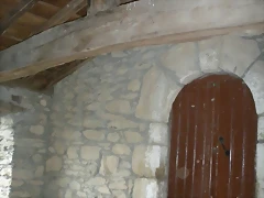 DSCN4830
