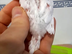 20190518_142255 20190518_142255