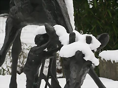 Amsterdam 2010 1218