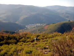 DSCN8552