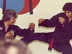 elvis_karate_1