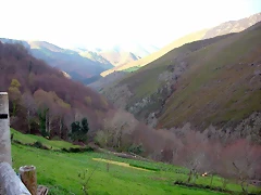 DSCN8592