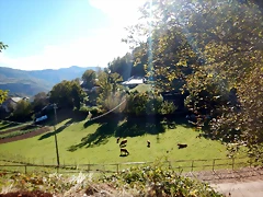 DSCN0250