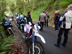 DSCN0495 DSCN0495