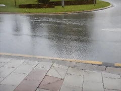 DSCN9350
