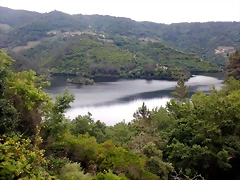 DSCN3536 DSCN3536