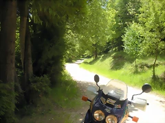 DSCN5344 DSCN5344