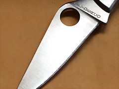 IMG_1372 IMG_1372