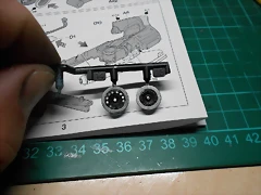 DSCN5463 DSCN5463