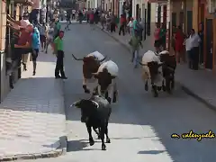 08, hacia la avenida, marca