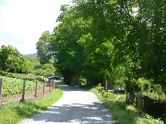 DSCN2148 DSCN2148