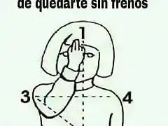 SIN FRENOS