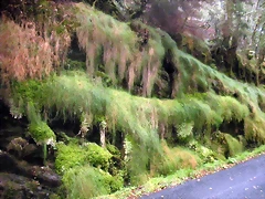 DSCN8384 DSCN8384