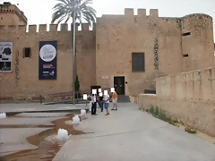 P7030024 P7030024