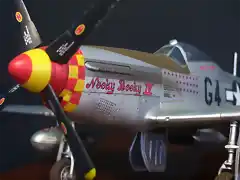 NorthAmericanP-51DMustang 22