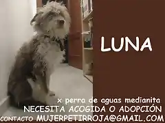 LUNA Crdoba