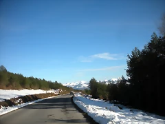 DSCN2527 DSCN2527