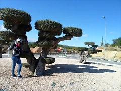 SAM_5226 SAM_5226