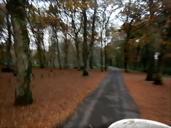 DSCN0775